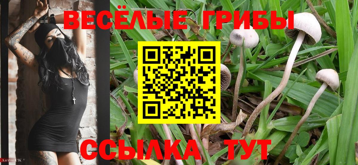 Лосино-Петровский  Галлюциногенные грибы мухоморы  Вход с VPN 