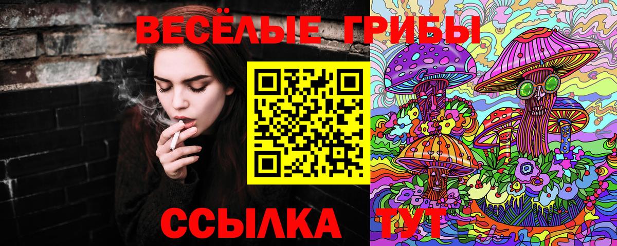 Псилоцибиновые грибы мухоморы Лосино-Петровский